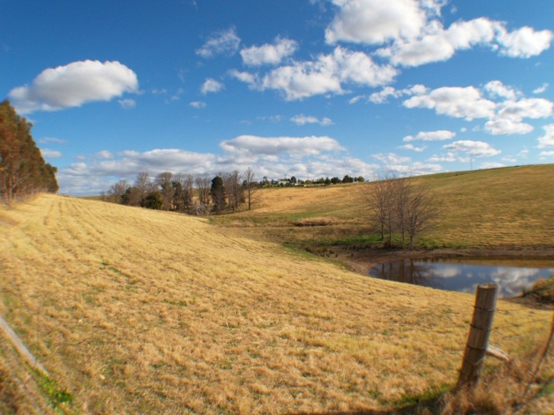 21 Springfield Rd, Candelo NSW 2550