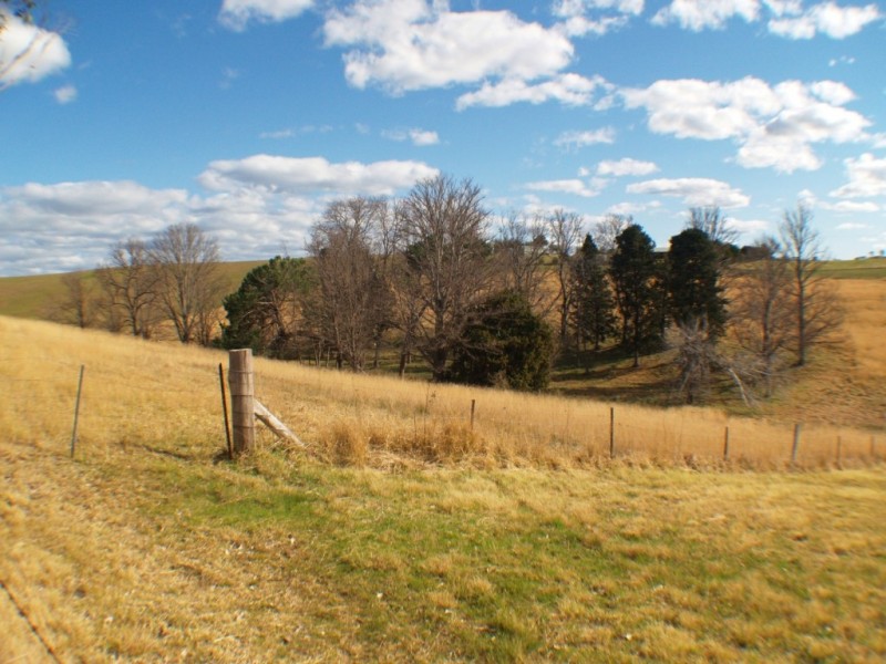 21 Springfield Rd, Candelo NSW 2550