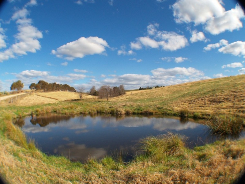 21 Springfield Rd, Candelo NSW 2550