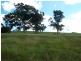 - Stringy Park Close, Bega NSW 2550