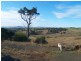 Lots 1 and 2 Reservoir St, Candelo NSW 2550