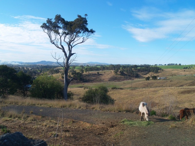 Lots 1 and 2 Reservoir St, Candelo NSW 2550