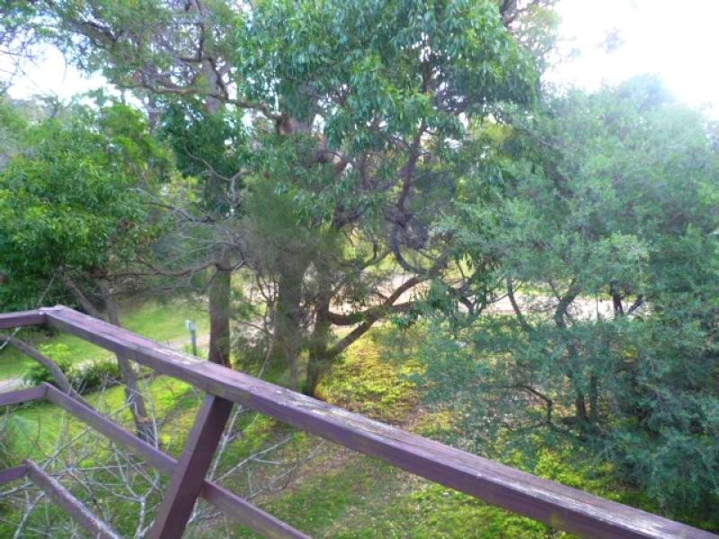 36 Bay St, Tathra NSW 2550