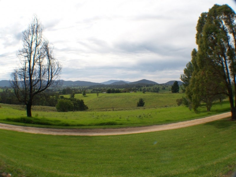 454 Yowrie Rd, Cobargo NSW 2550