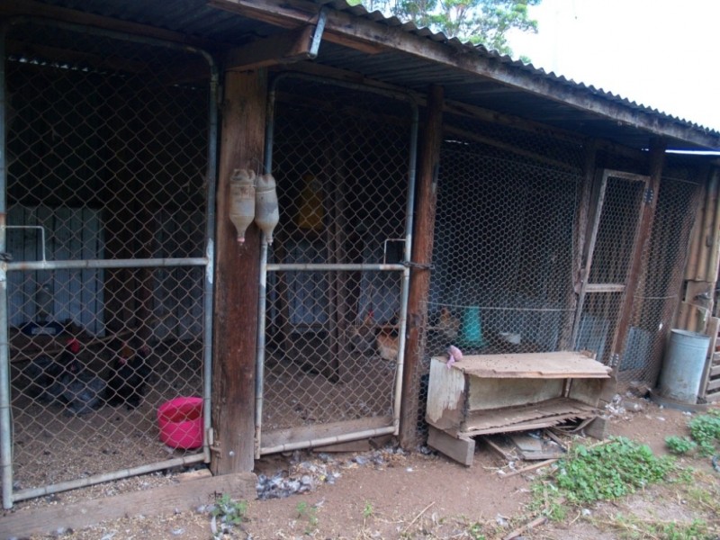 454 Yowrie Rd, Cobargo NSW 2550