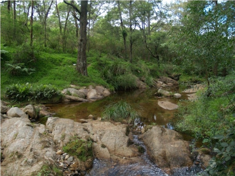 454 Yowrie Rd, Cobargo NSW 2550