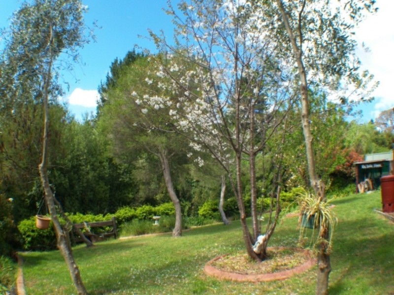 39 Scott St, Wolumla NSW 2550