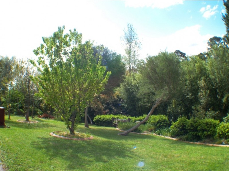 39 Scott St, Wolumla NSW 2550