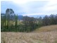 93, 94, 95 Geraghty St, Bemboka NSW 2550