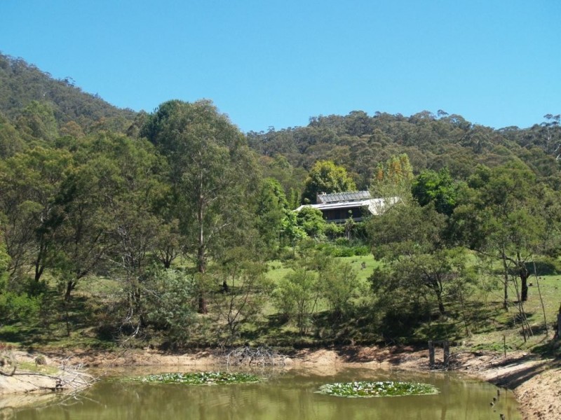 797 Yankees Gap Rd, Bemboka NSW 2550