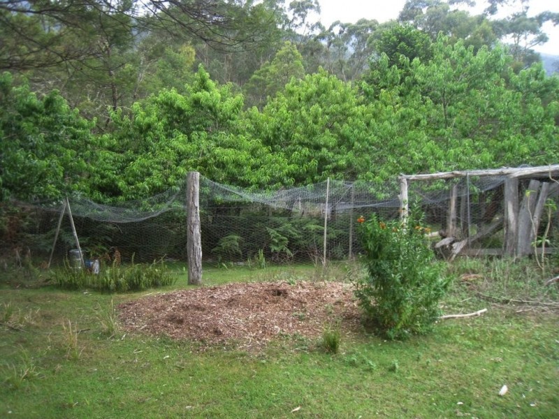 797 Yankees Gap Rd, Bemboka NSW 2550