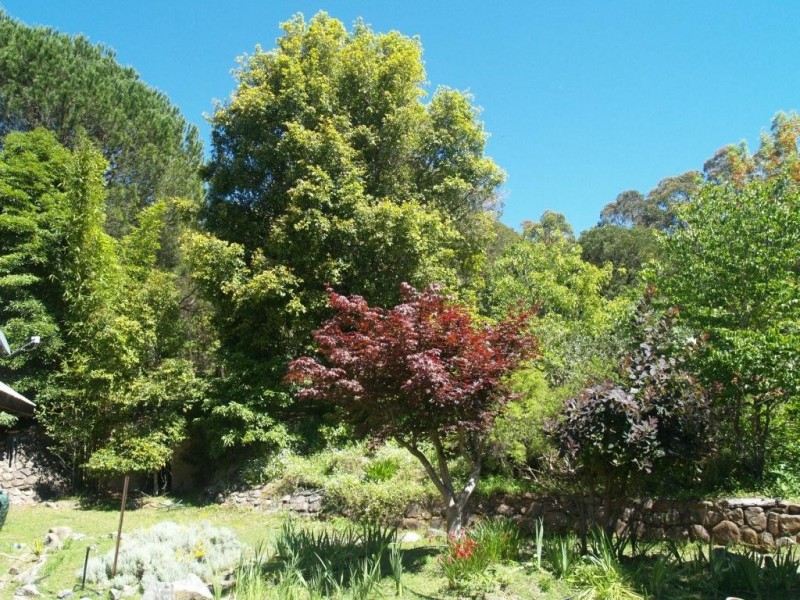 797 Yankees Gap Rd, Bemboka NSW 2550