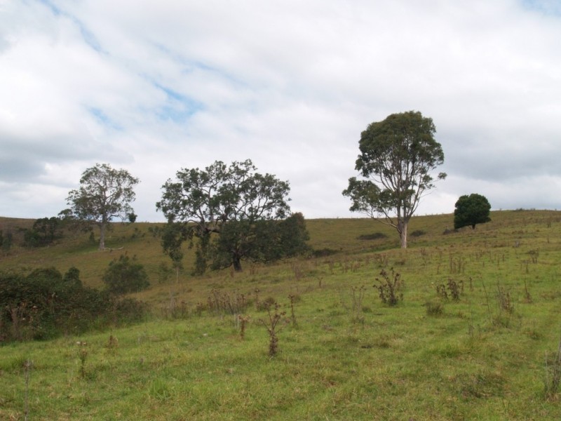 Lots 2 and 11 Haslingden Rd, Bega NSW 2550