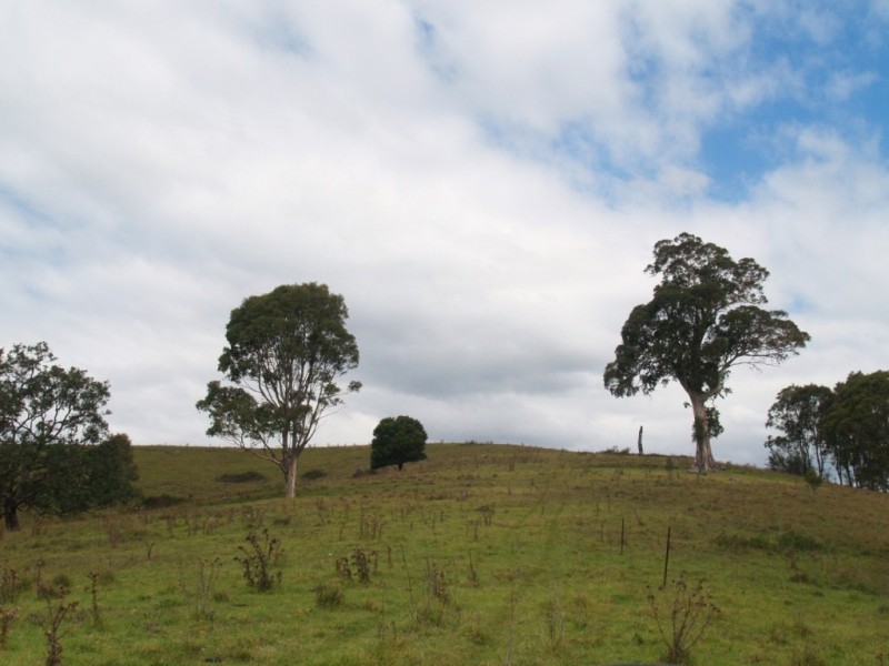 Lots 2 and 11 Haslingden Rd, Bega NSW 2550