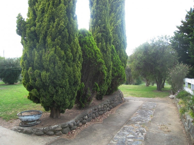 2 Miners Close, Bega NSW 2550