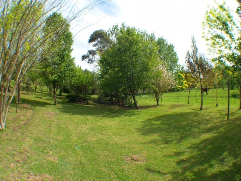 42 Panbula St, Candelo NSW 2550