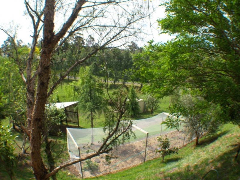 42 Panbula St, Candelo NSW 2550