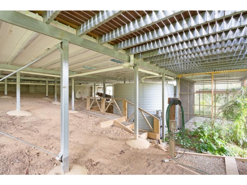 2841 Mount Darragh Rd, Wyndham NSW 2550