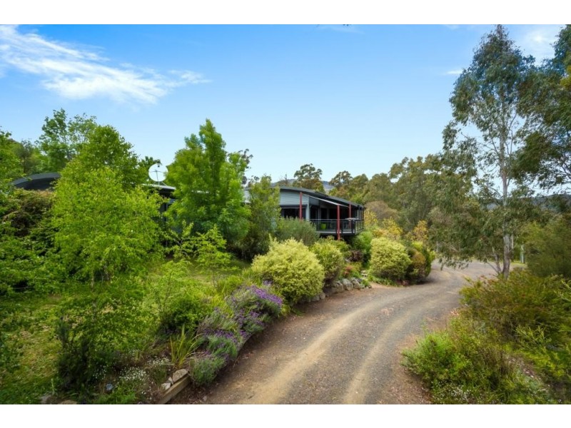 2841 Mount Darragh Rd, Wyndham NSW 2550