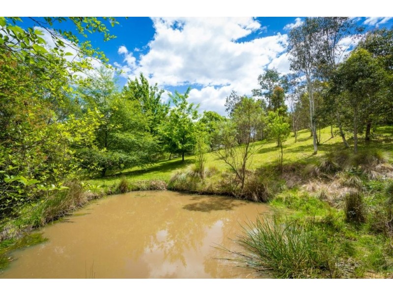 2841 Mount Darragh Rd, Wyndham NSW 2550
