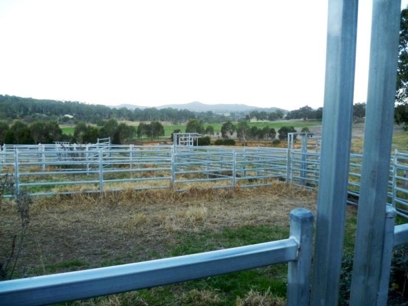 Lot 21/ Candelo Wolumla Rd, Candelo NSW 2550