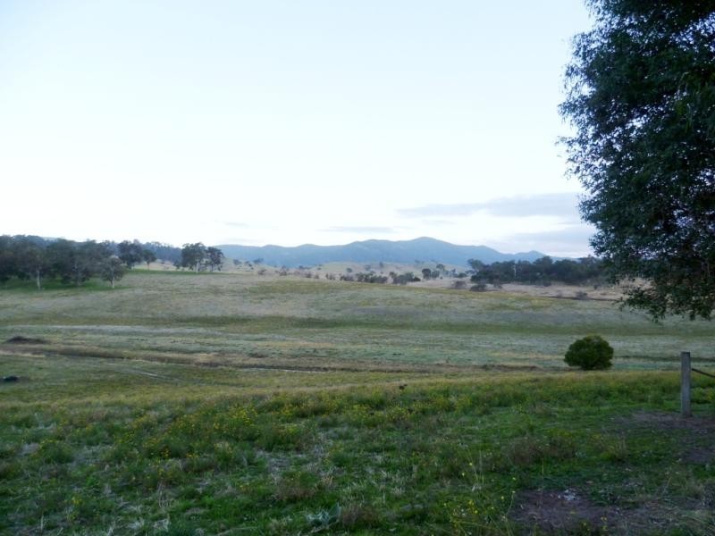 Lot 21/ Candelo Wolumla Rd, Candelo NSW 2550