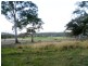 Lot 21/ Candelo Wolumla Rd, Candelo NSW 2550