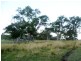 Lot 21/ Candelo Wolumla Rd, Candelo NSW 2550
