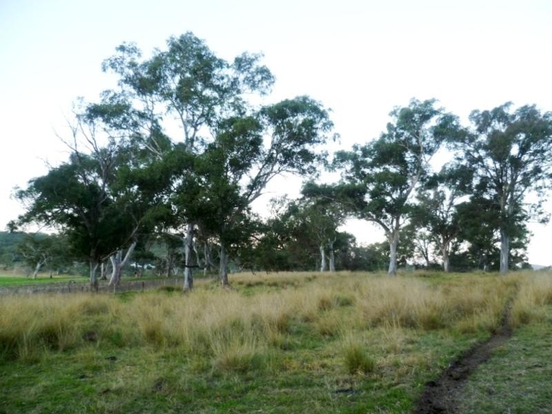 Lot 21/ Candelo Wolumla Rd, Candelo NSW 2550