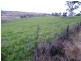 Lot 21/ Candelo Wolumla Rd, Candelo NSW 2550