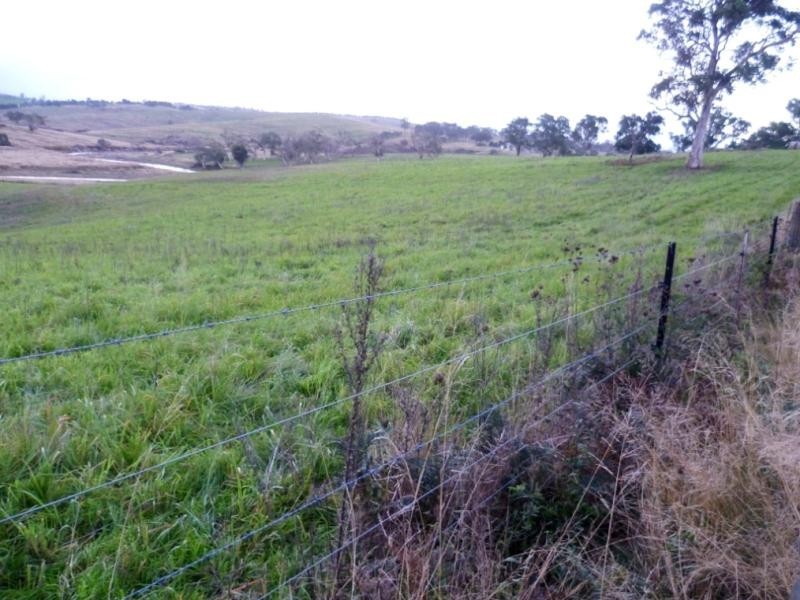 Lot 21/ Candelo Wolumla Rd, Candelo NSW 2550