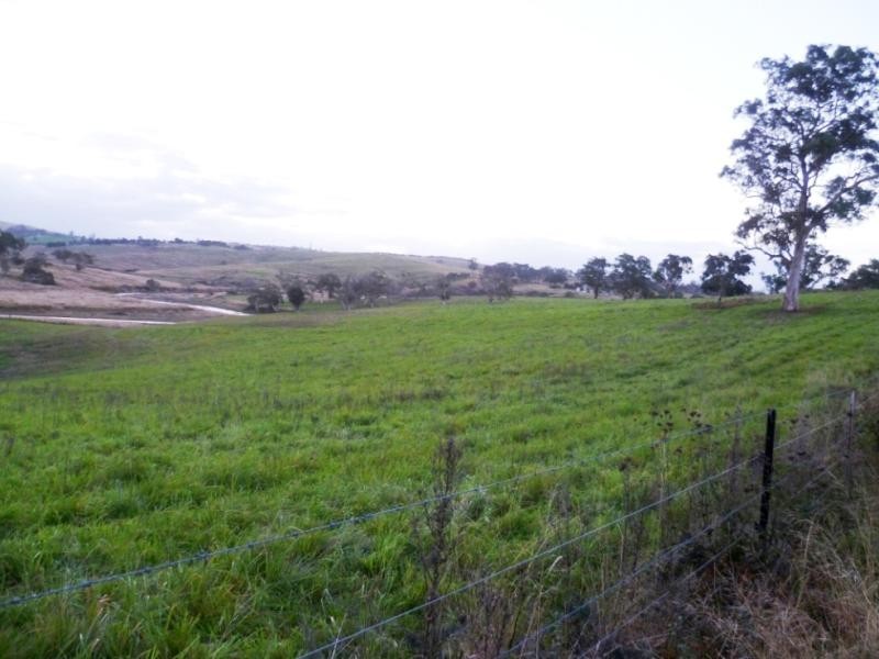 Lot 21/ Candelo Wolumla Rd, Candelo NSW 2550