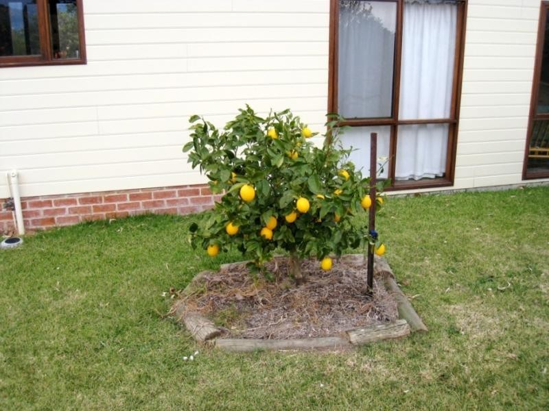 11581 Princes Hwy, Quaama NSW 2550