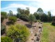 134 Wandella Rd, Cobargo NSW 2550