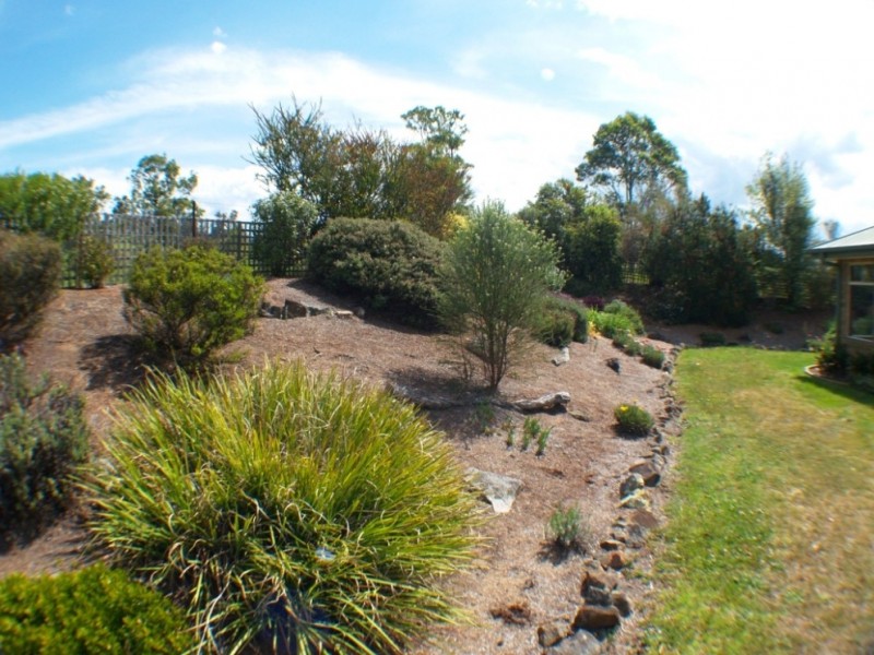 134 Wandella Rd, Cobargo NSW 2550