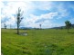 134 Wandella Rd, Cobargo NSW 2550