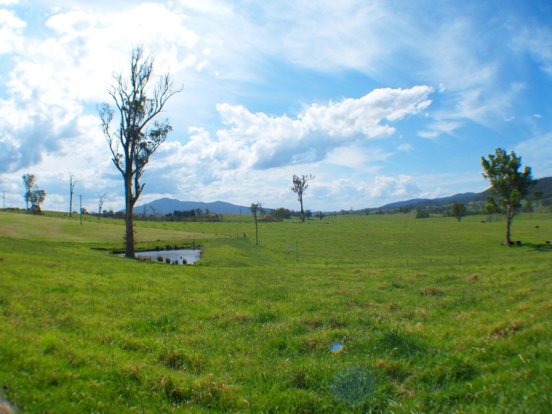 134 Wandella Rd, Cobargo NSW 2550