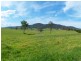 134 Wandella Rd, Cobargo NSW 2550