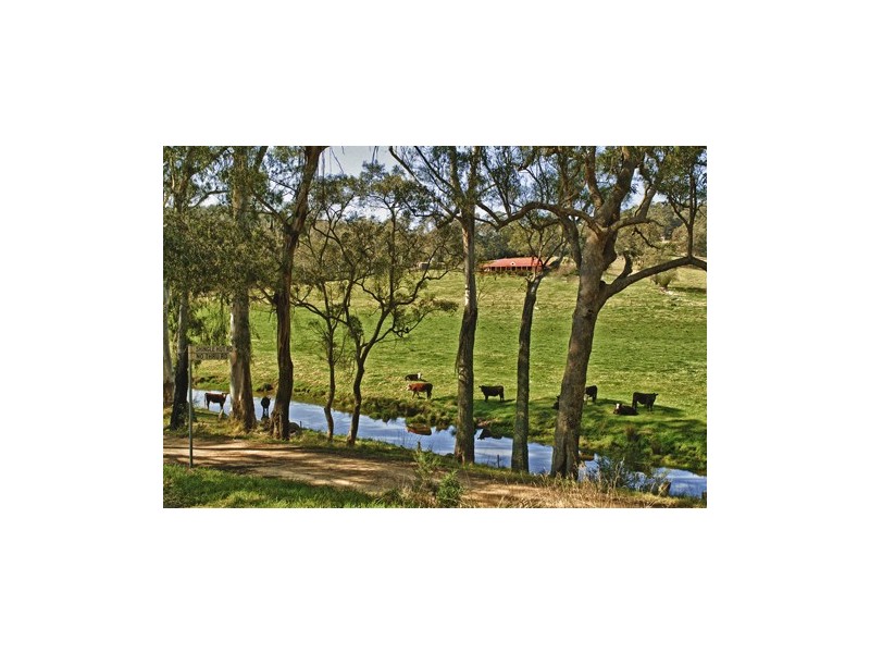 1067 Punkalla Tilba Rd, Narooma NSW 2546