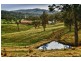 1067 Punkalla Tilba Rd, Narooma NSW 2546