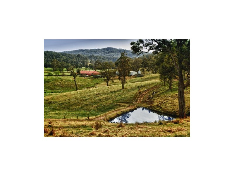 1067 Punkalla Tilba Rd, Narooma NSW 2546