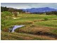 1067 Punkalla Tilba Rd, Narooma NSW 2546