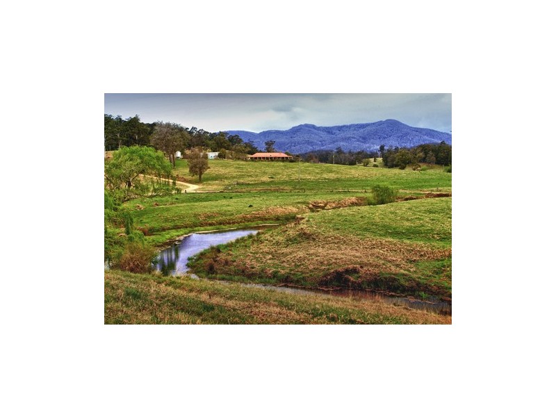 1067 Punkalla Tilba Rd, Narooma NSW 2546