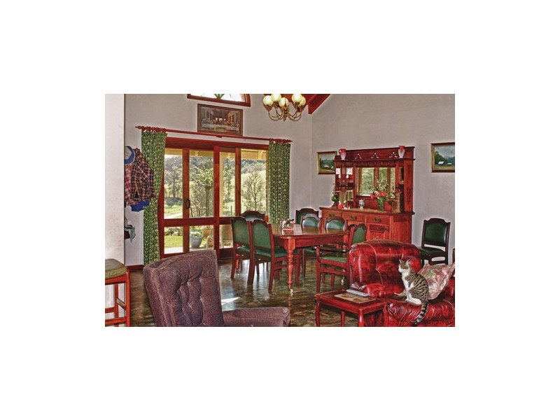 1067 Punkalla Tilba Rd, Narooma NSW 2546