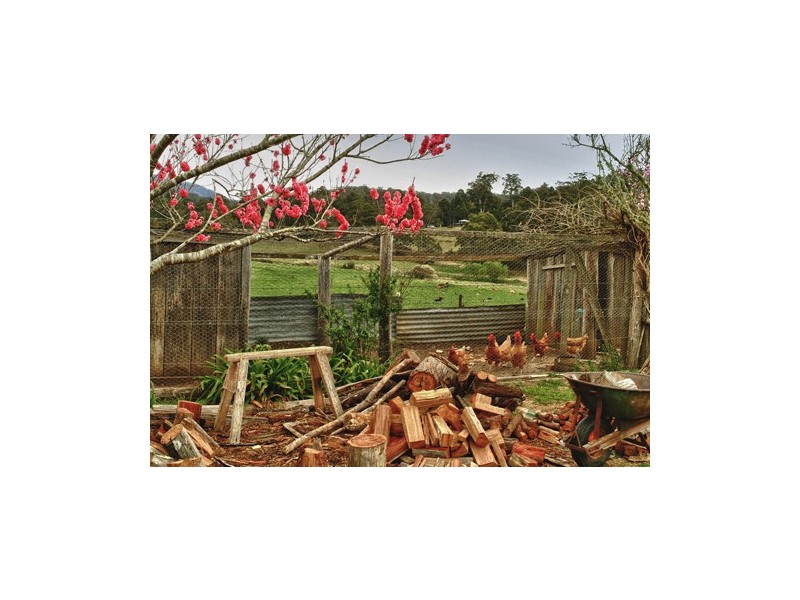 1067 Punkalla Tilba Rd, Narooma NSW 2546