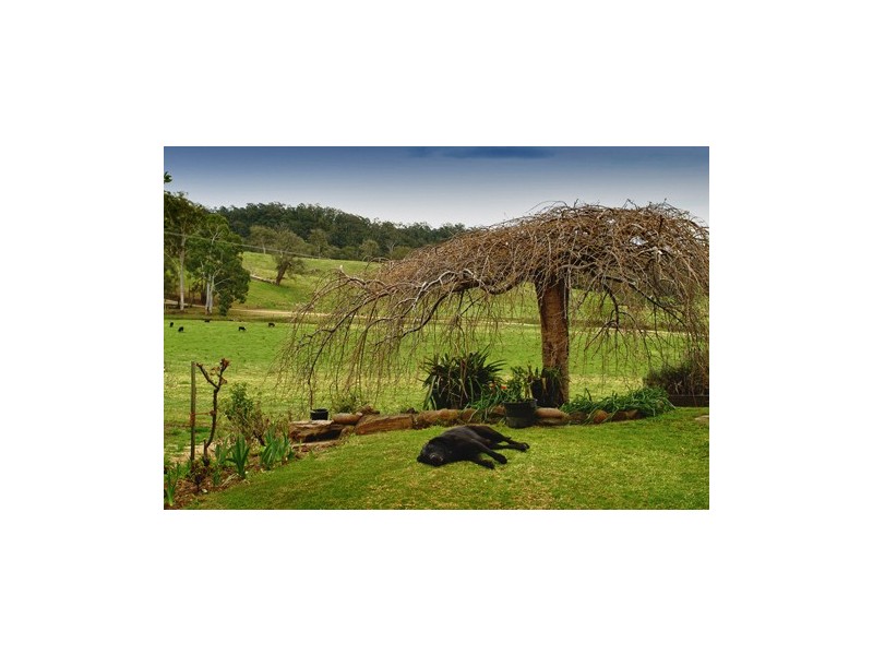 1067 Punkalla Tilba Rd, Narooma NSW 2546