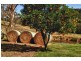 1067 Punkalla Tilba Rd, Narooma NSW 2546