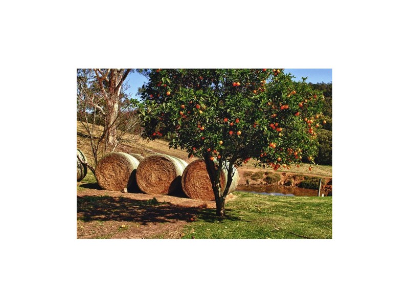 1067 Punkalla Tilba Rd, Narooma NSW 2546