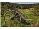1067 Punkalla Tilba Rd, Narooma NSW 2546