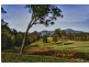 1067 Punkalla Tilba Rd, Narooma NSW 2546